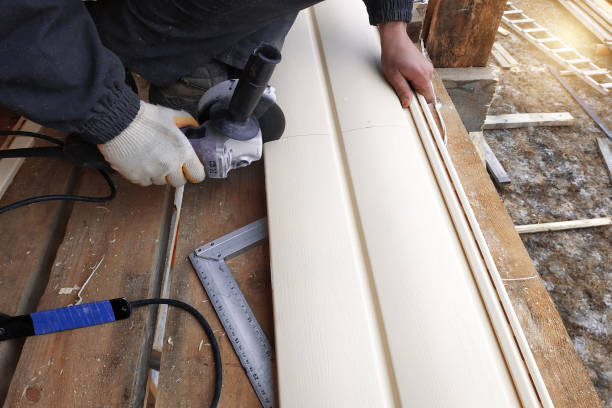 Best Steel Siding Installation  in Dewitt, IA