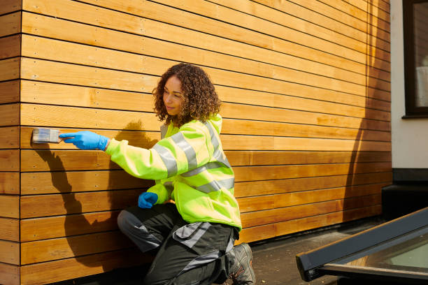 Best Siding Removal and Disposal  in Dewitt, IA