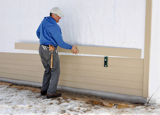 Best Custom Trim and Detailing for Siding  in Dewitt, IA