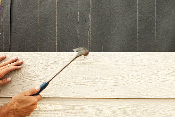 Affordable Siding Repair and Maintenance Services in Dewitt, IA
